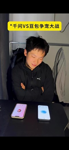 豆包与千问的宠物大战：谁能胜出？