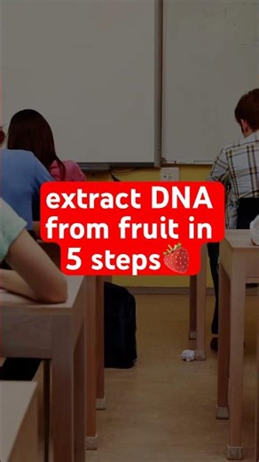How To Extract DNA From Fruit - GCSE Biology