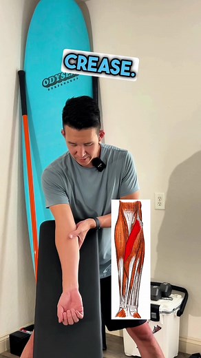 How to Improve Bicep Gains by Fixing a Small Muscle