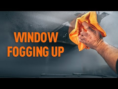 How to prevent car windows from fogging up | AUTODOC tips