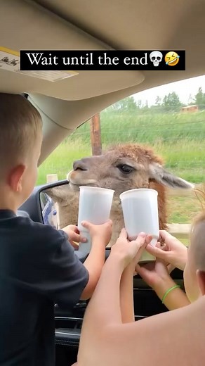 Pubity on Instagram: "That spit was personal😭🤣 (ViralHog)"