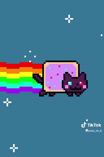TikTok Nyan Cat Animation