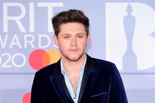 Niall Horan recalls last meeting with Liam Payne