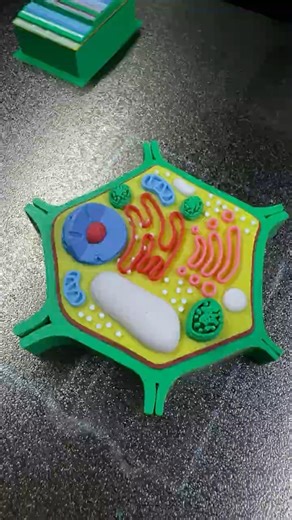 The first time that I can see and touch a cell #3dprinting #cell #education