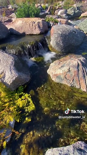 Transform Your Backyard with a Recreation Pond