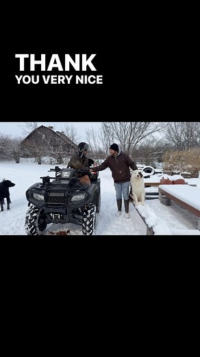 2.2K views · 35 reactions | Working on a little farm dog obedience today! #stonnie #australianshepard #dogtraining #puppytraining #labrador #labradors #labradorretriever #herdingdog #retriever | Stonnie Dennis Dog Training & Boarding | Facebook