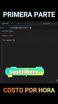 “How much does an employee earn? 💸 | Go explained in less than 3 minutes” #programming