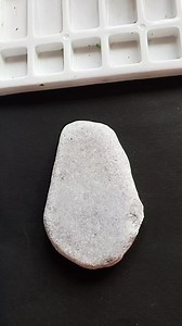 16K views · 437 reactions | White Maltese Dog Painting on Rock | Painted by my daughter Roma ️ | Little Rocks | Facebook