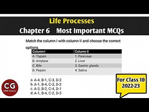 Life Processes Important MCQs Class 10 Science