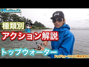 「違いが明確に‼︎アクションで分かるルアー解説」トップウォーター編【バスプロ解説】