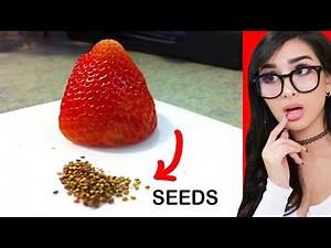 People who had WAY too much Free Time