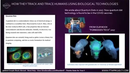 A Tech Called Quantum Dot Similar To Luciferase Was Tested On Mice Prior To The Plandemic 💉☠️💉
