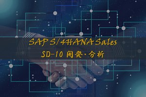 【SAP認定試験対策（SD-10）】開発・分析の基礎知識を徹底解説！