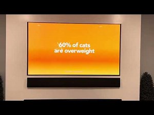 Garfield commercial 2025