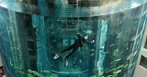 World's Largest Aquarium Explodes, Killing Thousands of Fish and Spilling Over 200,000 Gallons of Water