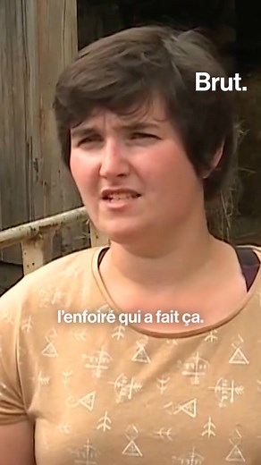 682K views · 3.8K reactions | C'est l'histoire d'un mensonge qui a créé une psychose nationale. En 2020, des dizaines de chevaux victimes de mutilations font la une de nombreux médias. Mais Pauline S., celle par qui tout a commencé, cachait un terrible secret… On vous raconte toute l'affaire des "chevaux mutilés". | Brut | Facebook