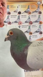 5.4K views · 2.4K reactions | Super son Pokerface. Father (Grandv). From 5 first price winner  | Andreas Drapa | Facebook