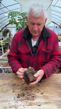 Why brown roots don't matter and root bound plants are great - Tony's Tips
