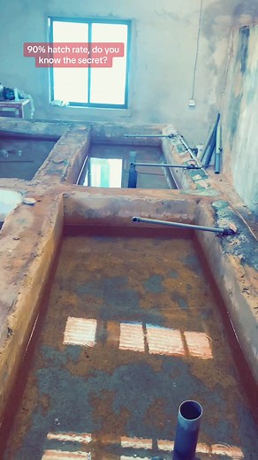 #fisherman #pondconstruction #fishfarming #fish #fishing #fishing #farmlife #farming #farmlife #farming #fypシ #farmhouse