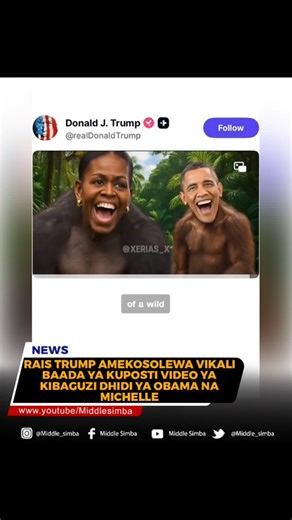 𝗠𝗶𝗱𝗱𝗹𝗲 𝘀𝗶𝗺𝗯𝗮 on Instagram: "Rais wa Marekani, Donald Trump, alijikuta katikati ya ukosoaji mkali baada ya kuchapisha video inayodaiwa kuwa ya kibaguzi kwenye page yake ya mtandao wa X. Video hiyo iliwaonyesha aliyekuwa Rais wa Marekani, Barack Obama, pamoja na aliyekuwa first lady Michelle Obama, wakionyeshwa kama nyani huku wimbo “The Lion Sleeps Tonight” ukisikika kwenye background. Tukio hilo lilizua hasira kutoka kwa wananchi na wanaharakati wa haki za binadamu, waliotaja kitendo