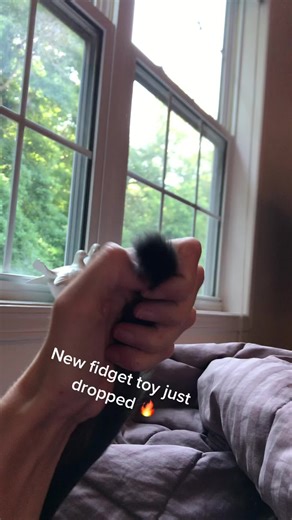 Explore the New Fidget Toy Experience