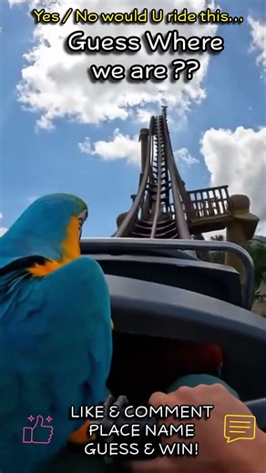 Guess Where 😳🦜 | My Parrot Took Me, Roller Coaster, Somewhere Dangerous | Part 7