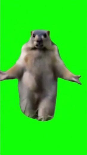 Dancing beaver #ai #beaver