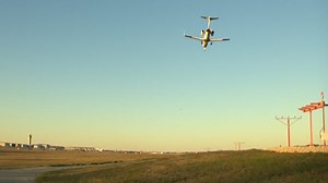 How Austin's airport tracks bird strikes, works to prevent them