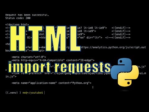 Python Lernen – HTML von Webseiten mit requests ausgeben