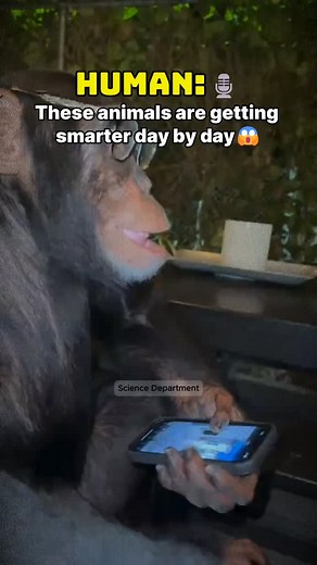 1.2K views · 6.8K reactions | Animals Getting Smarter Day by Day! 易 #smartestanimals #smart #animals #biology #science  Disclaimer: All materials have been carefully edited and transformed to provide a unique viewer experience ♥️ | Science Department | Facebook
