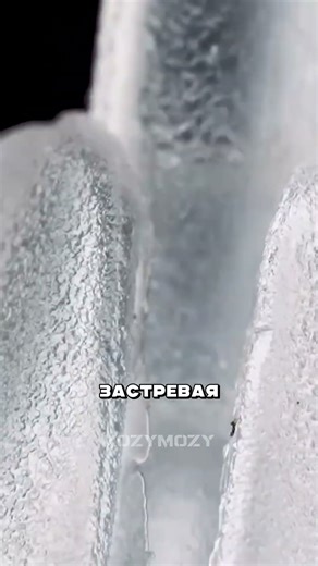 How to remove a label without cutting #facts