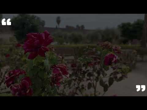 Instrumental - Calm Song #1