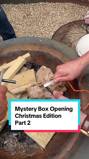 Exciting Mystery Box Opening with Family Fun