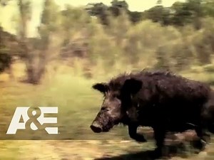 American Hoggers Preview | A&E