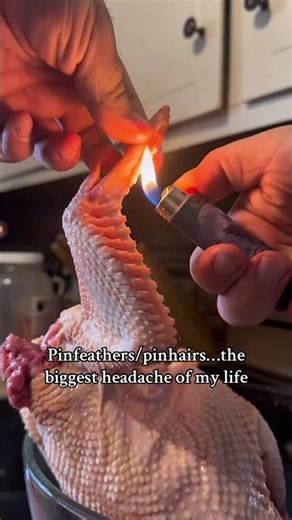 The Worst Step in Processing Chickens 🐓 | How Do YOU Handle Pinfeathers? Is There an Easier Way?