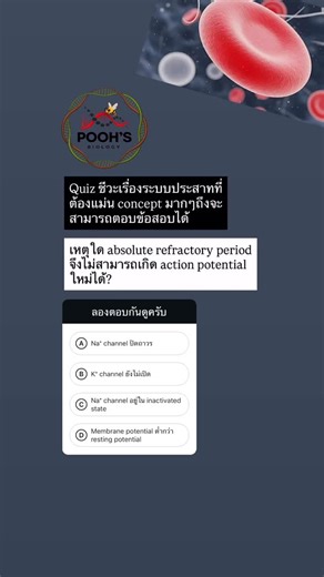 poohbiology: Cerebrum Insights | [Key below] 🗝️ เฉลย……………. ตอบข้อ C) Na⁺ channel อยู่ใน inactivated state📩 🔬 กลไกเชิงลึก Voltage-gated Na⁺ channel มี “ประตู” 2 บาน 1.... | Instagram