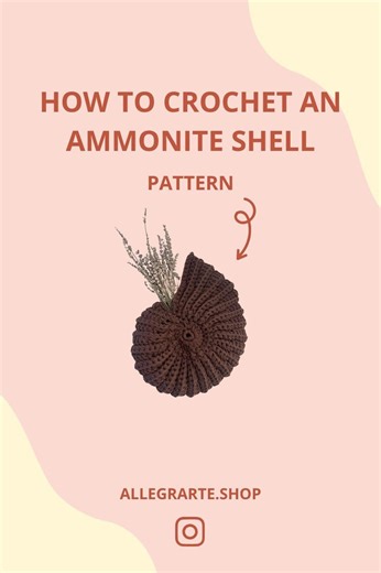 Ammonite Shell Crochet Pattern – T-shirt Yarn Basket (PDF Digital Download) - Etsy Canada