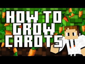 Competitive Carrot Growing in Minecraft