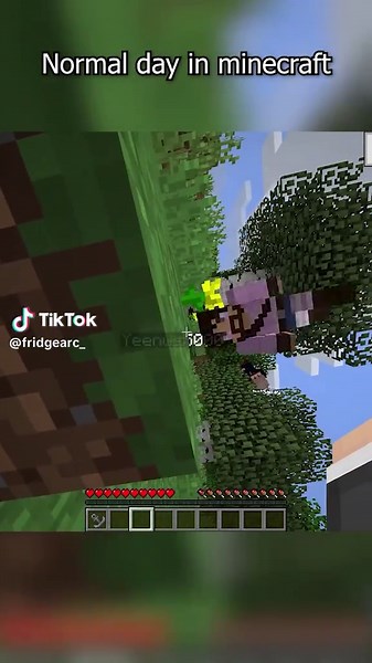 Nothing strange happening here #fyp #minecraft #cursed #cursedminecraft #moddedminecraft #funny