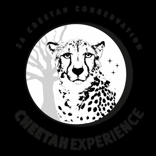 Volunteer | Cheetah Experience | South Africa