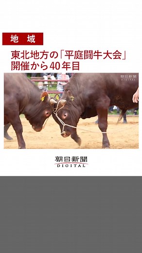 オリジナル楽曲デジタル - 朝日新聞を使っている朝日新聞 (@asahi_digital)の動画