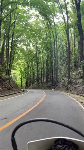 Mrs. Rice (@mrs.angelicajasmin)’s videos with Complicated Heart - Michael Learns To Rock