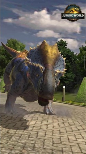 JWA - Centrolophus Lux APEX