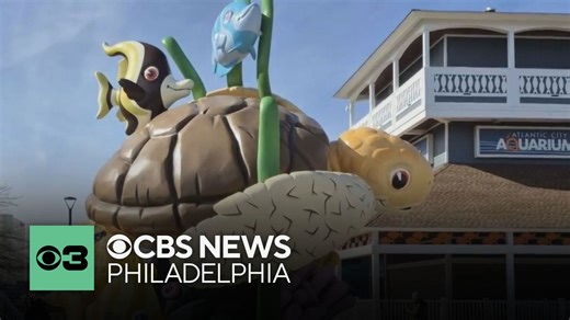 Atlantic City Aquarium will open Monday for the first time in 5 years