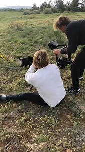 My cat is a Diva!📸🐈‍⬛#divacat #celebrity #viralcat | Simon the backpacking Kitty