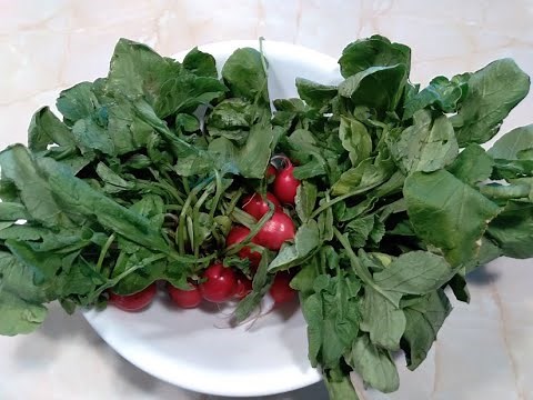 Radish Greens 101 - Nutrition and Health Benefits
