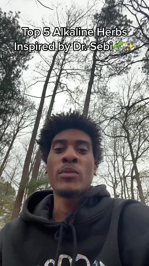 Top 5 Alkaline Herbs Inspired by Dr. Sebi's Methodology🌱✨ Burdock root - Burdock root is known for its blood-purifying and detoxifying properties, supporting liver and kidney function and promoting the removal of toxins from the body. Burdock root has anti-inflammatory properties, making it beneficial for alleviating symptoms of conditions such as arthritis, skin issues like eczema and psoriasis, and gastrointestinal disorders. Elderberry - Elderberry is rich in antioxidants and vitamins, parti