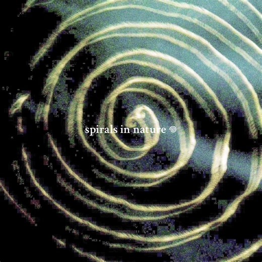 Endless Beauty in Nature: Captivating Spiral Patterns and Cycling Scenes