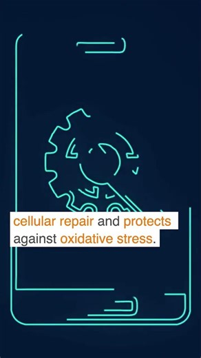 The Science of Longevity: How Telomeres & Klotho Shape Aging