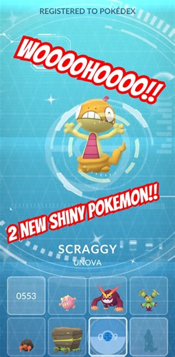 Finally Found A ✨SHINY✨ Scraggy On Pokemon Go And Then Evolved It!